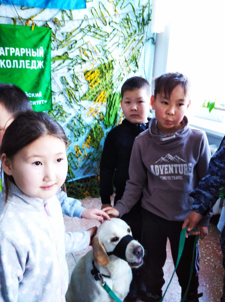 Картинка 1 на тему Экскурсия в Аграрный колледж Горно-Алтайского государственного университета
